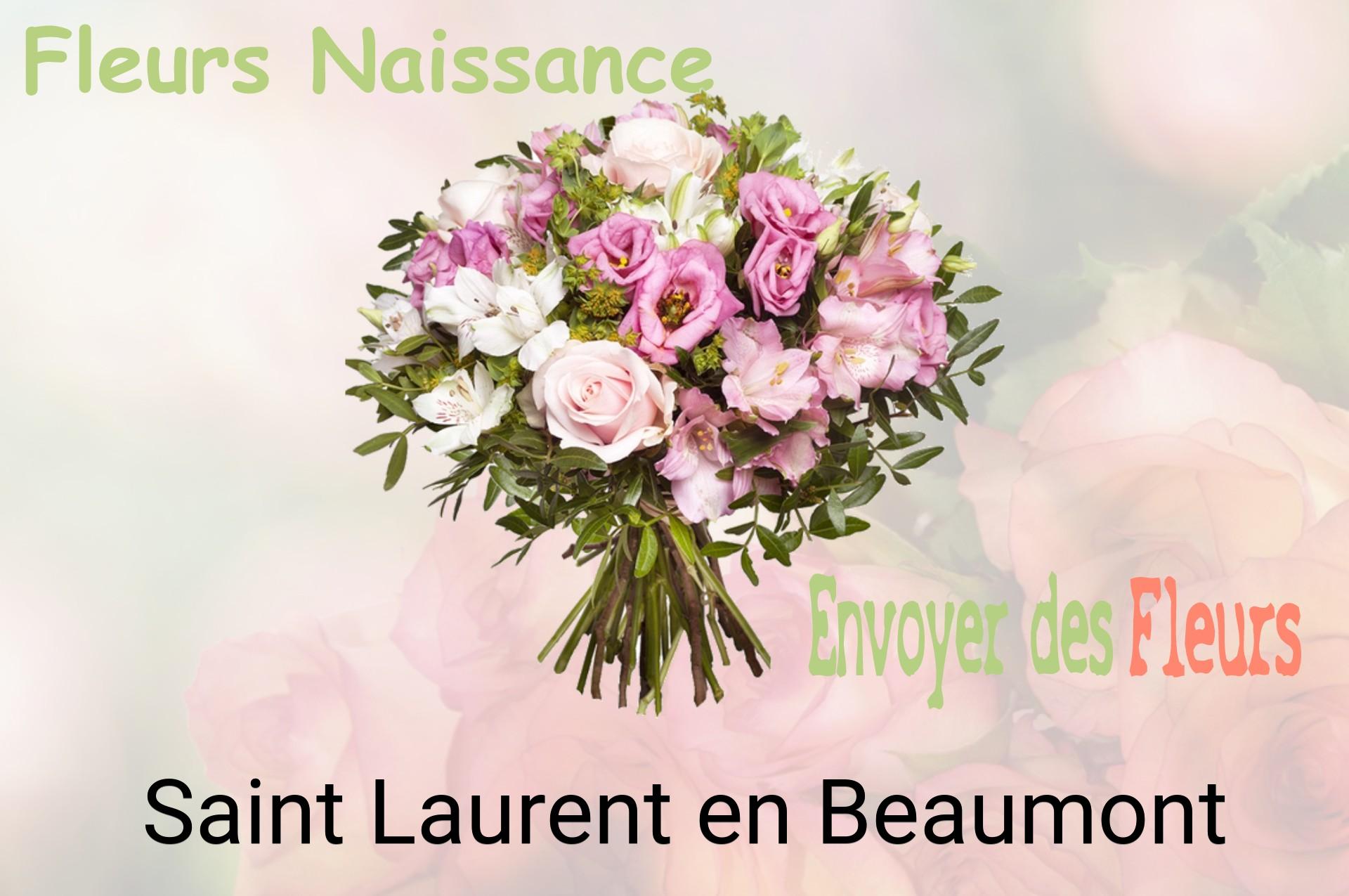 Bouquet de fleurs de naissance livré à Saint-Laurent-en-Beaumont