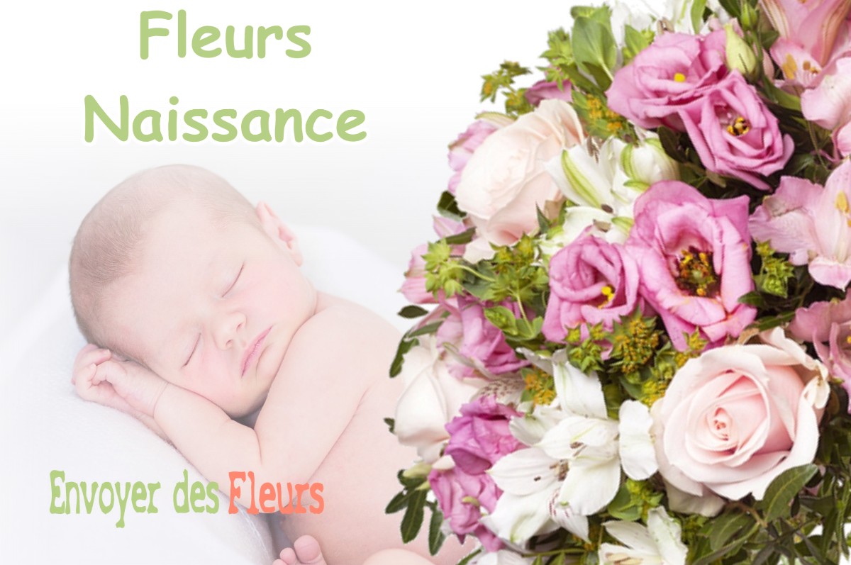 lIVRAISON FLEURS NAISSANCE à SAINT-LAURENT-EN-BEAUMONT